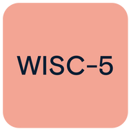 WISC-V